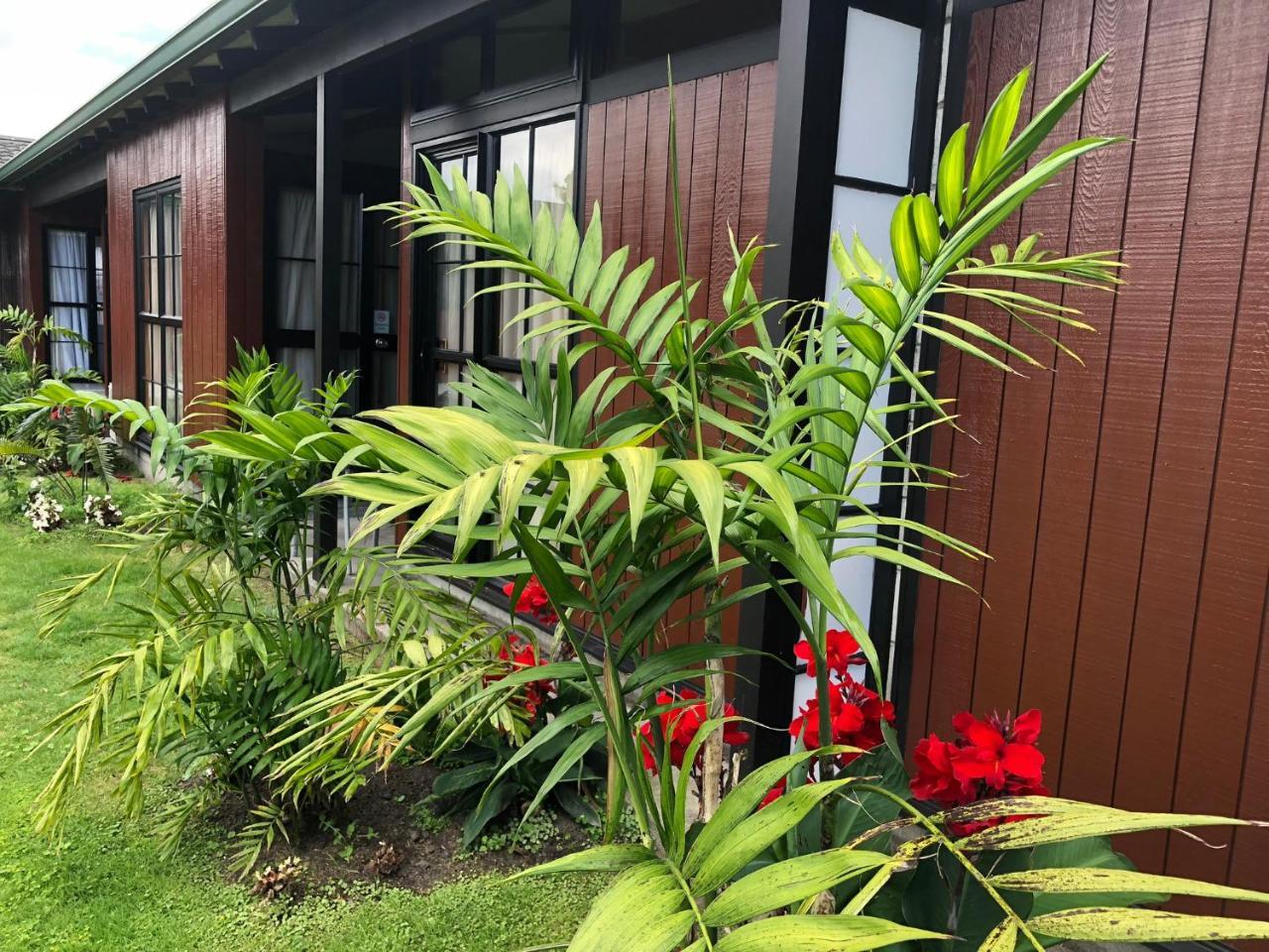 Teal Motor Lodge Gisborne Buitenkant foto